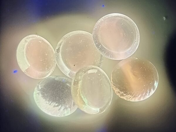 Nice Copper + doped luminescent phosphate glass bead NEW!