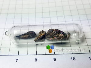 Pure Barium metal distilled crystals, sealed in ampoule 1g